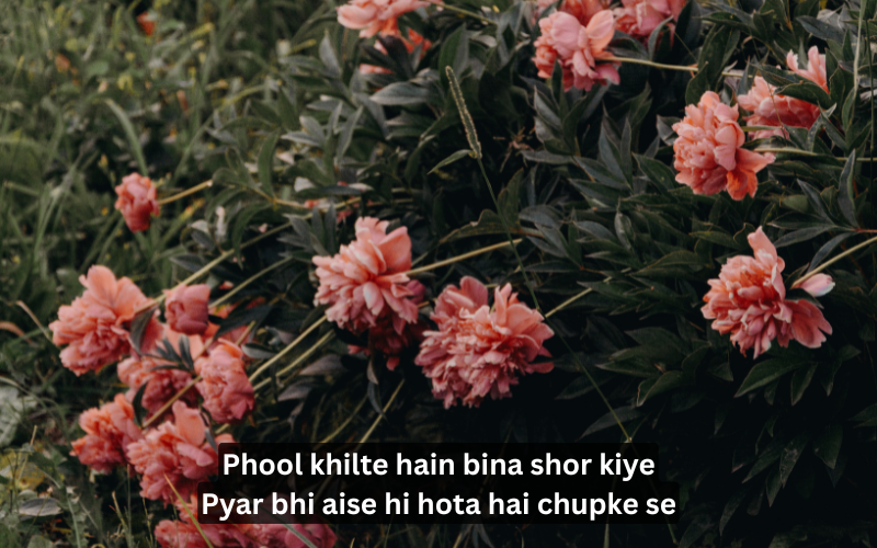 Nature Shayari in English
