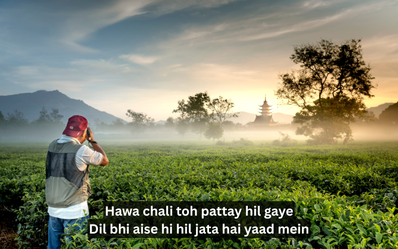 Nature Shayari in English