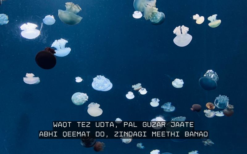 2 Line Shayari on Life Shayari in English