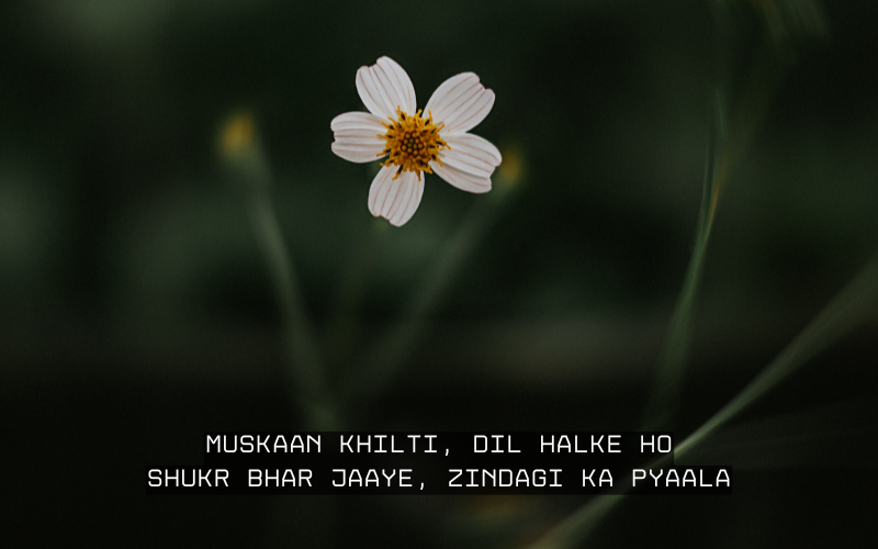 2 Line Shayari on Life Shayari in English 