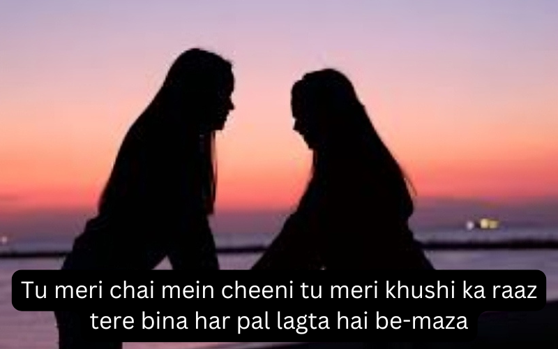 Best Friend Shayari in English