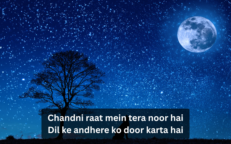 Moon Shayari in English