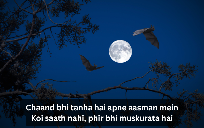 Moon Shayari in English