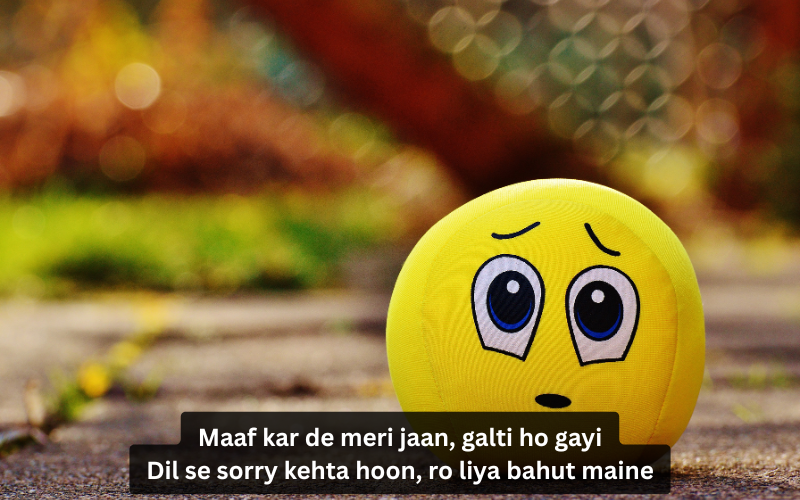 Sorry Shayari in English