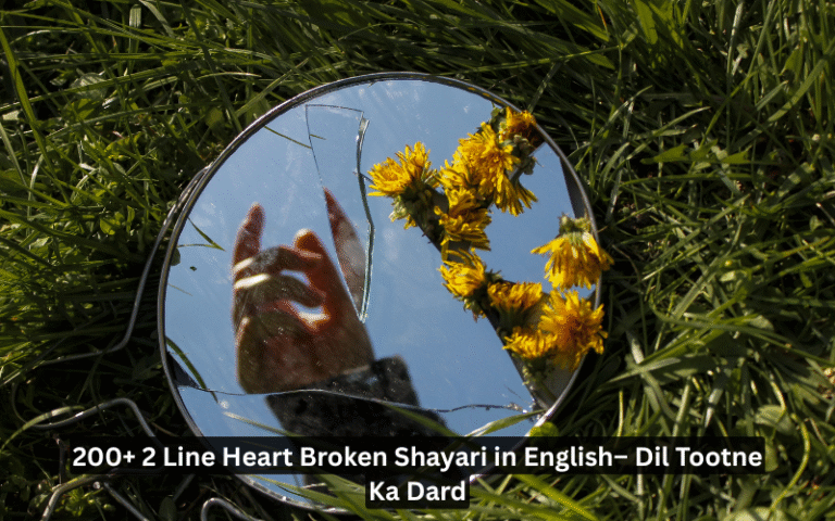 2 Line Heart Broken Shayari in English