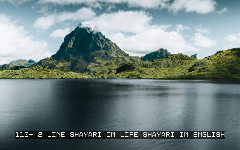 2 Line Shayari on Life Shayari in English