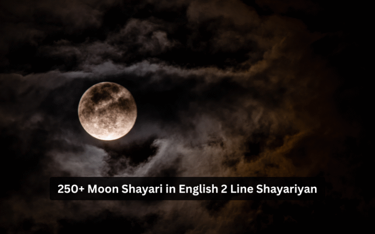 Moon Shayari in English