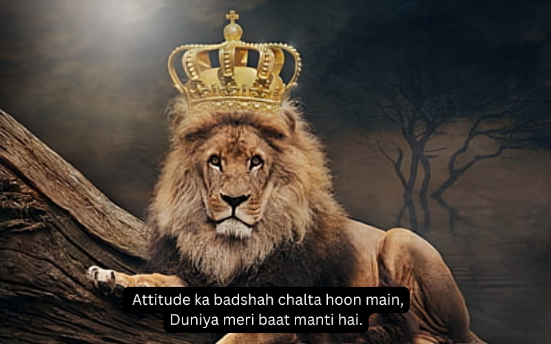 King Attitude Shayari In English