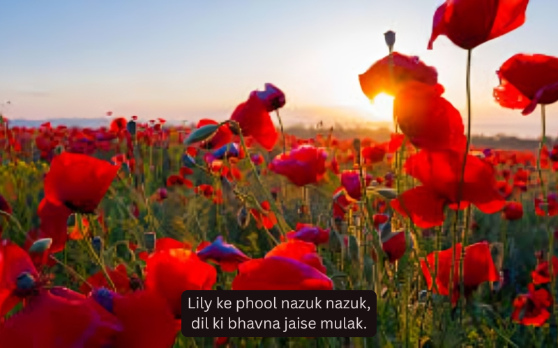 Flower Shayari Sangrah In English