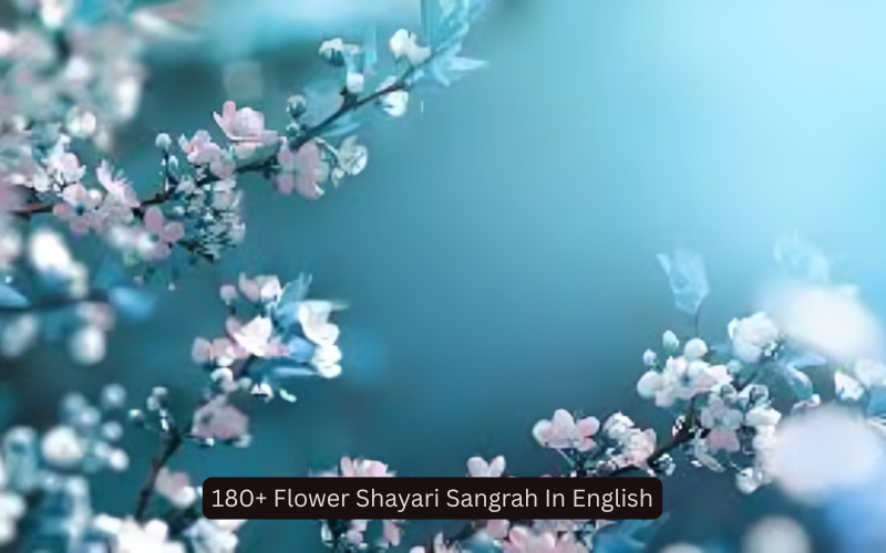 Flower Shayari Sangrah In English