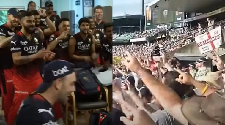 Cricket