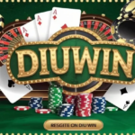 Diuwin: Best Game Experience Supporting Future Digital Growth