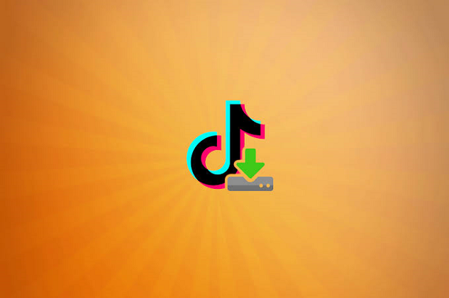 TikTok Downloader